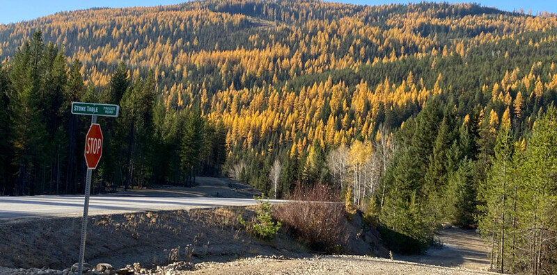 Timbered Acreage for Sale in BC,