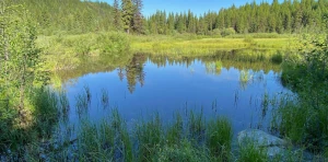 Pond off of highway 33 near kelowna