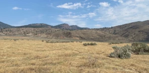 empty meadow in walhachin